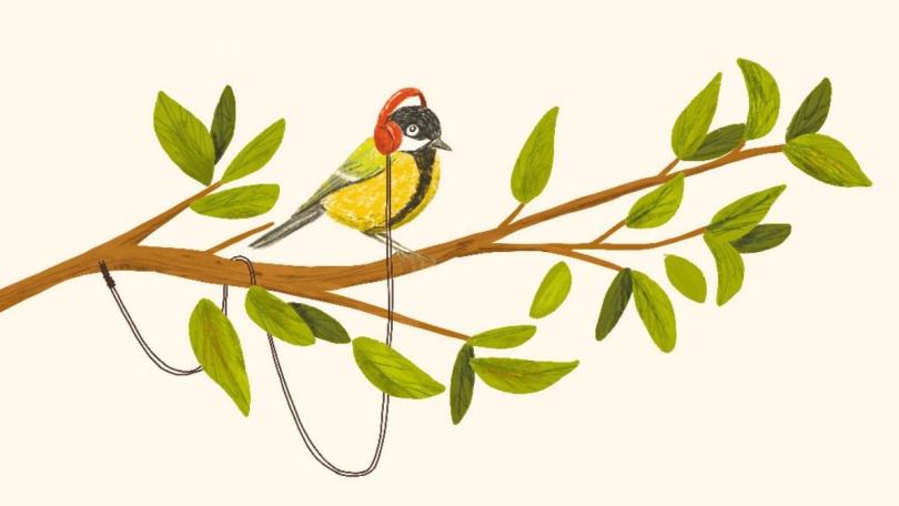 De beste tuinpodcasts: onze groene luistertips