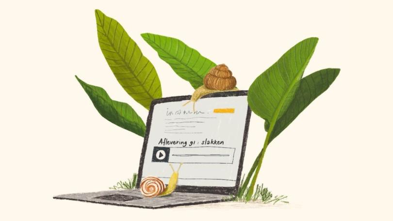 De beste tuinpodcasts: onze groene luistertips