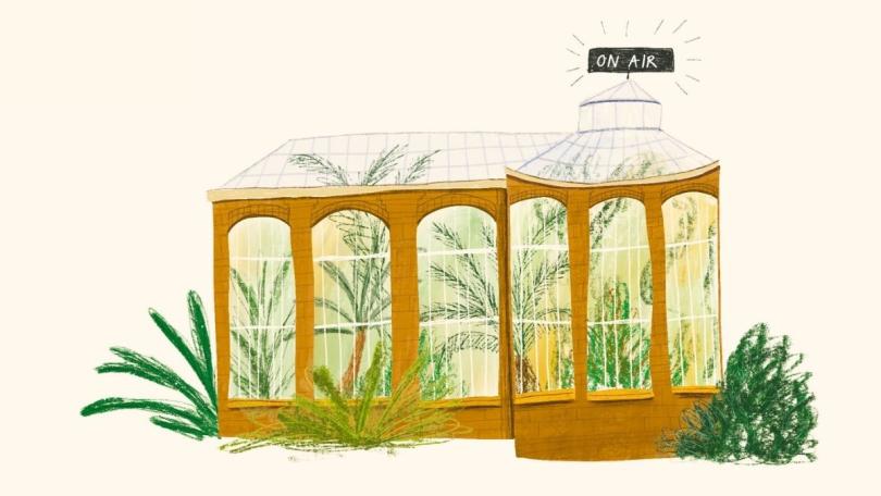 De beste tuinpodcasts: onze groene luistertips