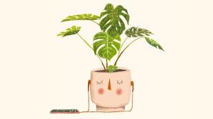 De beste tuinpodcasts: onze groene luistertips