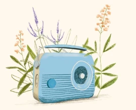 De beste tuinpodcasts: onze groene luistertips