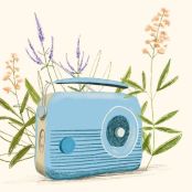 De beste tuinpodcasts: onze groene luistertips