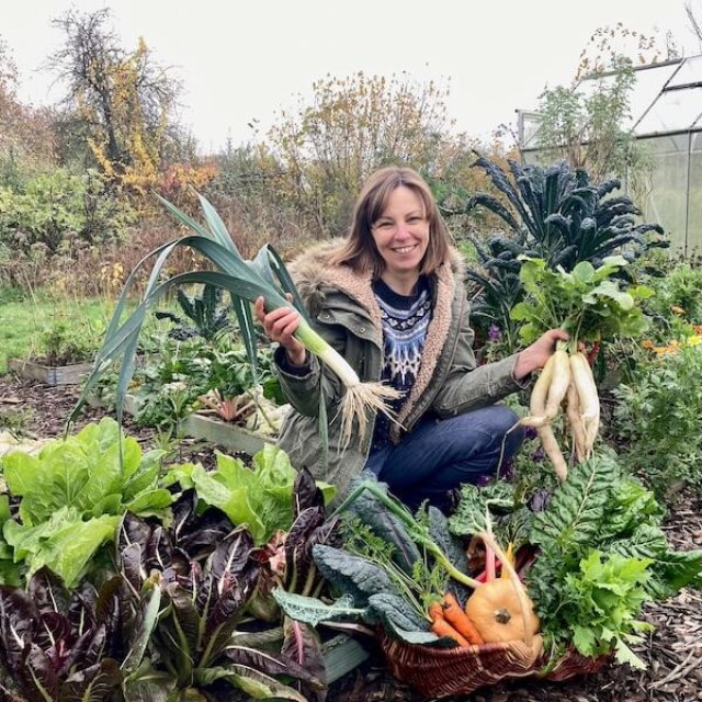 De beste planten voor een kleine eetbare bostuin
