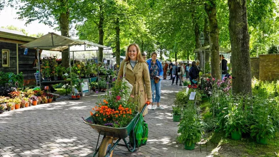 Afbeelding Vacature: Algemeen Directeur (24-32 uur p/w)
