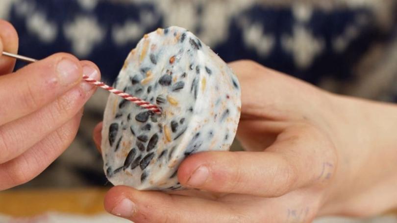 Gooi je kerstboom niet weg: maak er een snoepboom van