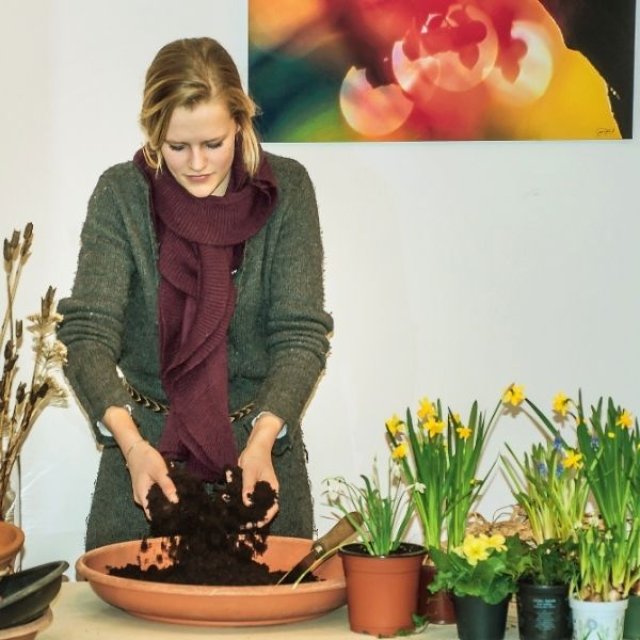 Januari is lang. Vroege bloeiers helpen: zo maak je een mini-lentetuin