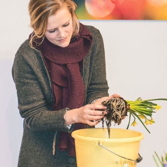 Januari is lang. Vroege bloeiers helpen: zo maak je een mini-lentetuin