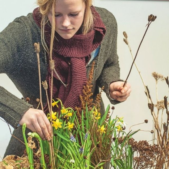 Januari is lang. Vroege bloeiers helpen: zo maak je een mini-lentetuin