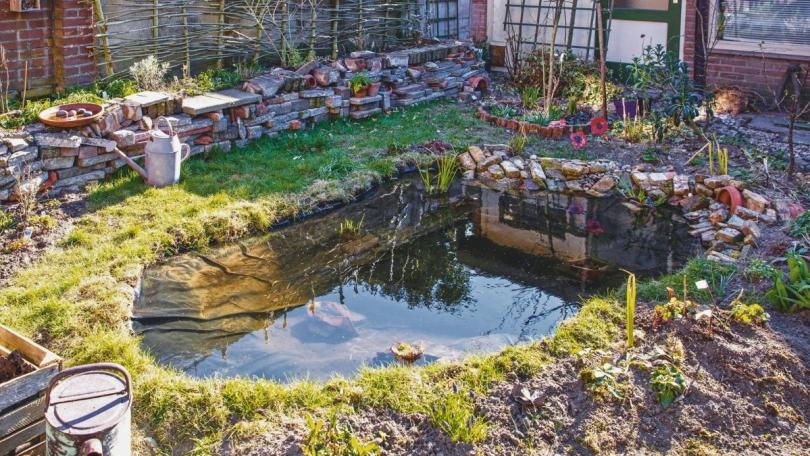 Waarom Katja voor een natuurlijke vijver zonder pomp of vissen kiest: de kikkers en libellen komen vanzelf