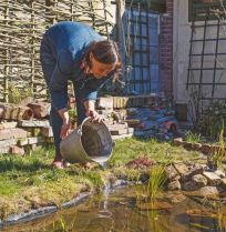 Waarom Katja voor een natuurlijke vijver zonder pomp of vissen kiest: de kikkers en libellen komen vanzelf