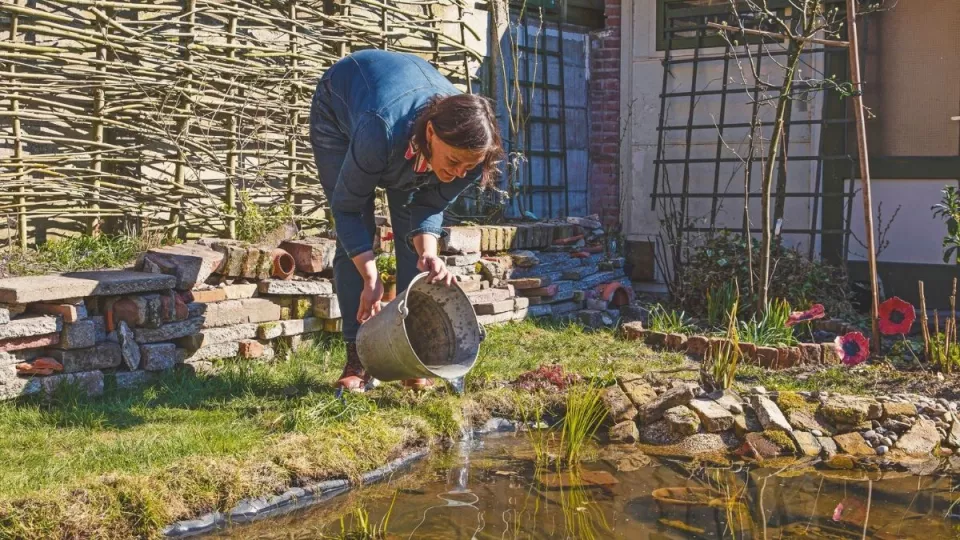 Afbeelding Waarom Katja voor een natuurlijke vijver zonder pomp of vissen kiest: de kikkers en libellen komen vanzelf