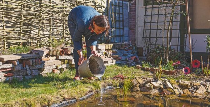 Waarom Katja voor een natuurlijke vijver zonder pomp of vissen kiest: de kikkers en libellen komen vanzelf