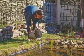 Waarom Katja voor een natuurlijke vijver zonder pomp of vissen kiest: de kikkers en libellen komen vanzelf