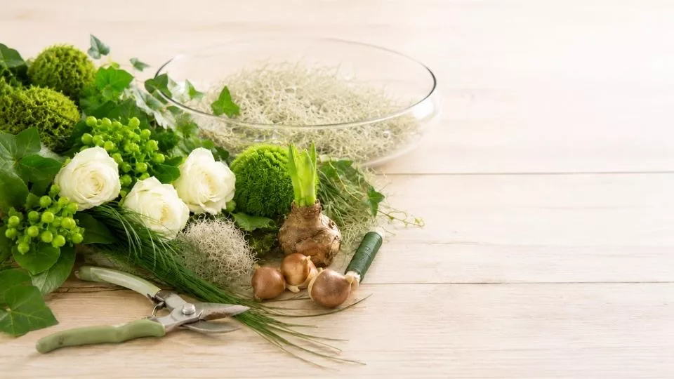 Afbeelding Amaryllis in een schaal: groen-wit bloemstuk met rozen en bollen