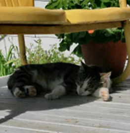 Zelf een vlonder bouwen