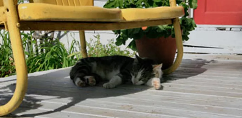 Zelf een vlonder bouwen