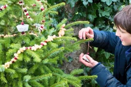 Gooi je kerstboom niet weg: maak er een snoepboom van