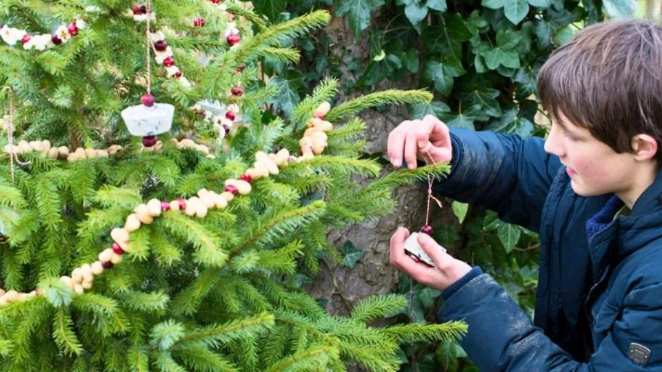 Afbeelding Gooi je kerstboom niet weg: maak er een snoepboom van