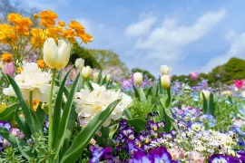 Leve de Tuin Festival: een nieuw festival vol tuin- en groeninspiratie