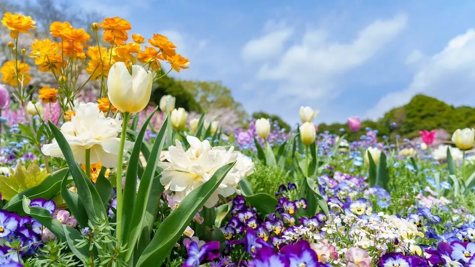 Afbeelding Leve de Tuin Festival: een nieuw festival vol tuin- en groeninspiratie