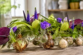 Maak een voorjaarsslinger die steeds opnieuw bloeit
