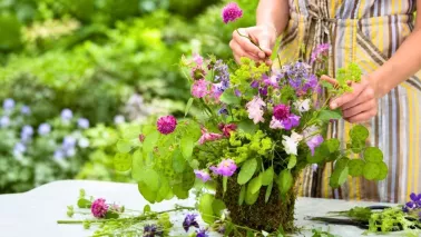 Akelei, vrouwenmantel, koekoeksbloem: zo maak je een voorjaarsvaasje uit eigen tuin