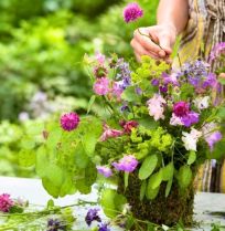 Akelei, vrouwenmantel, koekoeksbloem: zo maak je een voorjaarsvaasje uit eigen tuin