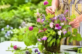 Akelei, vrouwenmantel, koekoeksbloem: zo maak je een voorjaarsvaasje uit eigen tuin