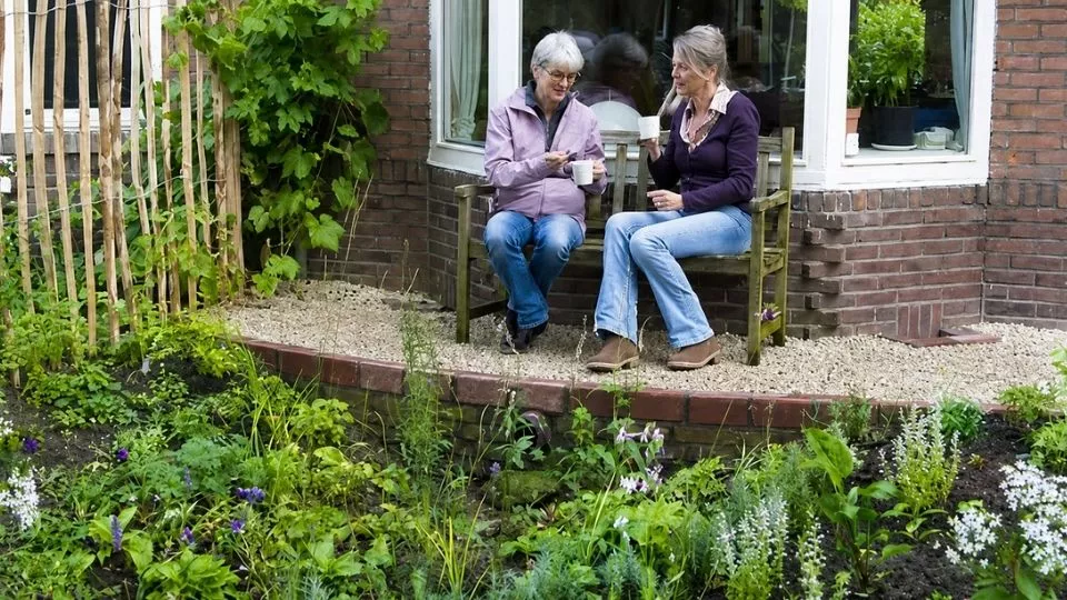 Afbeelding Een wadi in je tuin: zo vang je regenwater slim op