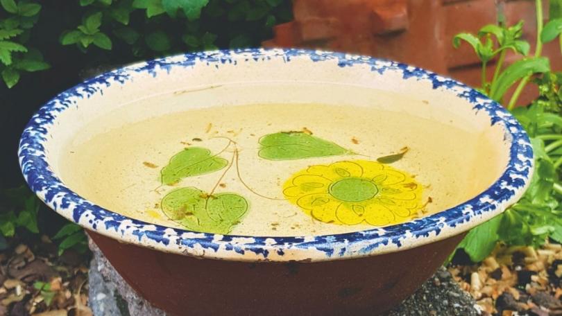 Katja koppelt haar regenpijp af en maakt van haar tuin een regenspons