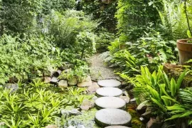 Meest waterbewuste tuin van Nederland ligt in Wijchen