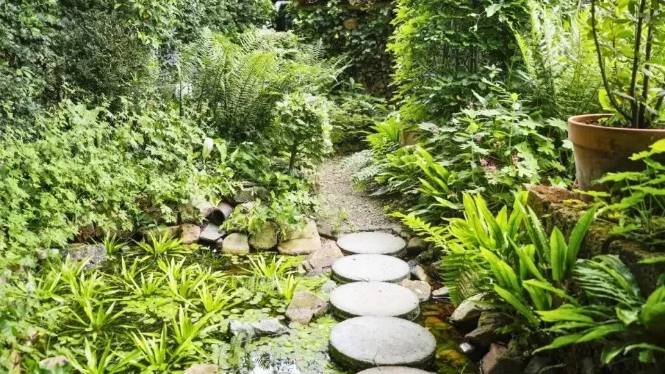 Afbeelding Meest waterbewuste tuin van Nederland ligt in Wijchen