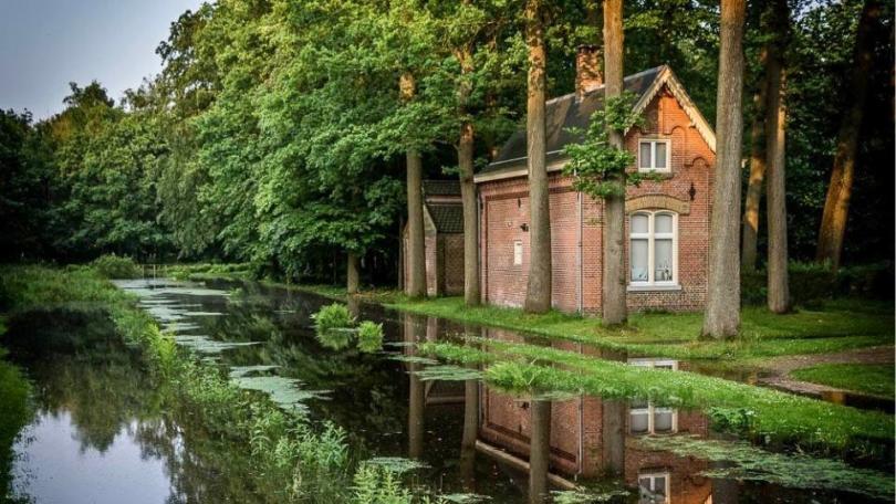 Honderden zinnia’s in één border: John zaait ze allemaal zelf
