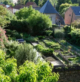 Ecologisch tuinieren in juni