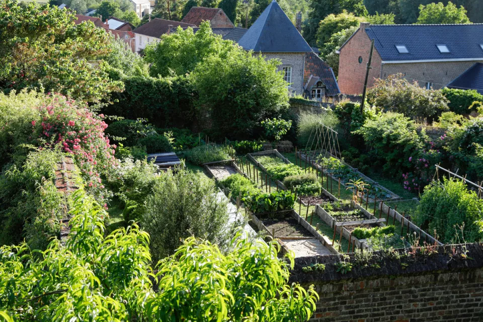 Afbeelding Ecologisch moestuinieren op een landgoed in juni