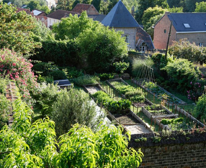 Ecologisch tuinieren in juni