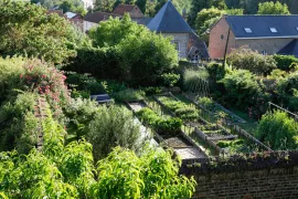 Ecologisch tuinieren in juni