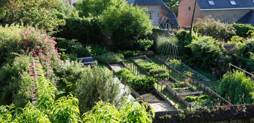 Ecologisch tuinieren in juni