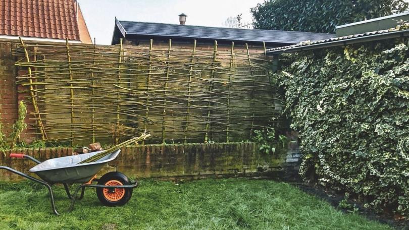 Waarom Katja haar wilgenschutting niet dicht vlecht