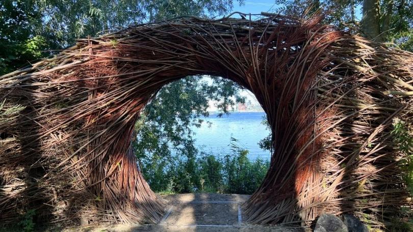 Knotwilg knotten: goed voor de boom, mooi voor de tuin