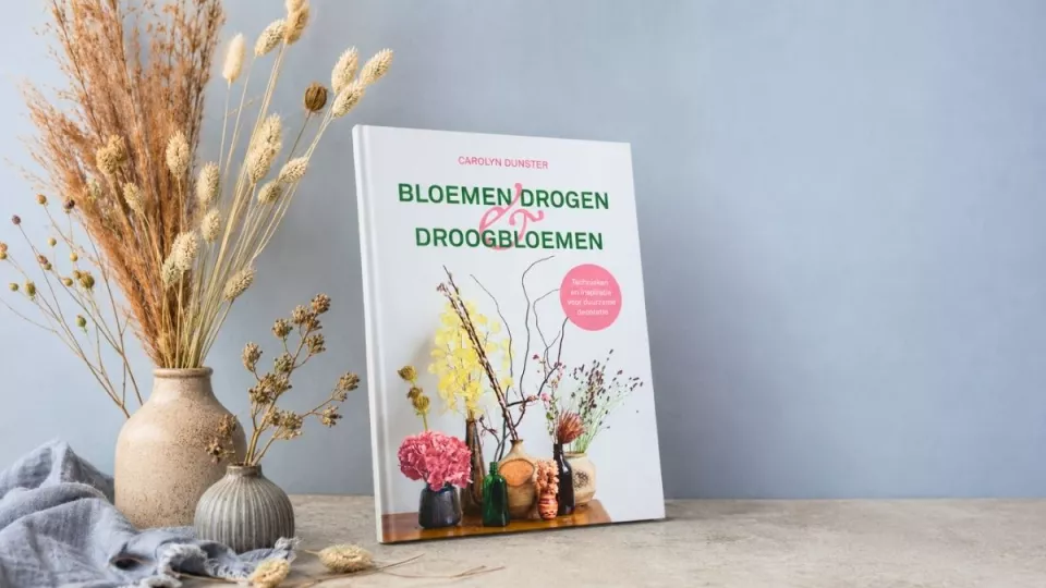 Afbeelding Winnen: boek ‘Bloemen drogen & droogbloemen’