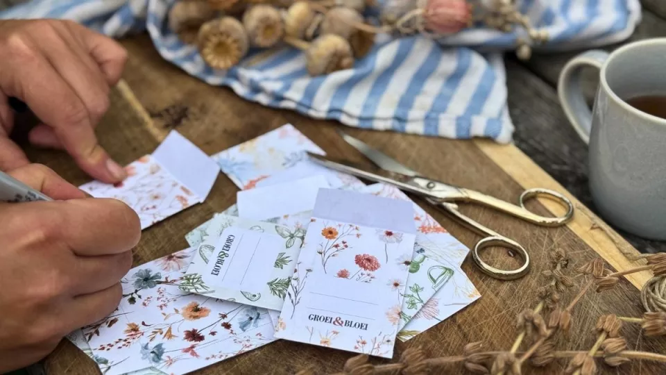 Afbeelding Zaadzakjes maken: 9 gratis ontwerpen om zelf te printen
