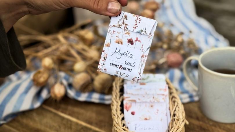 Zaadzakjes maken: 9 gratis ontwerpen om zelf te printen