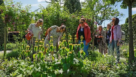 Foto tuincommunity